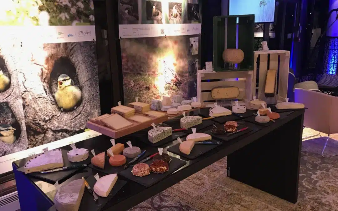 Comment organiser un buffet fromage réussi pour un séminaire
